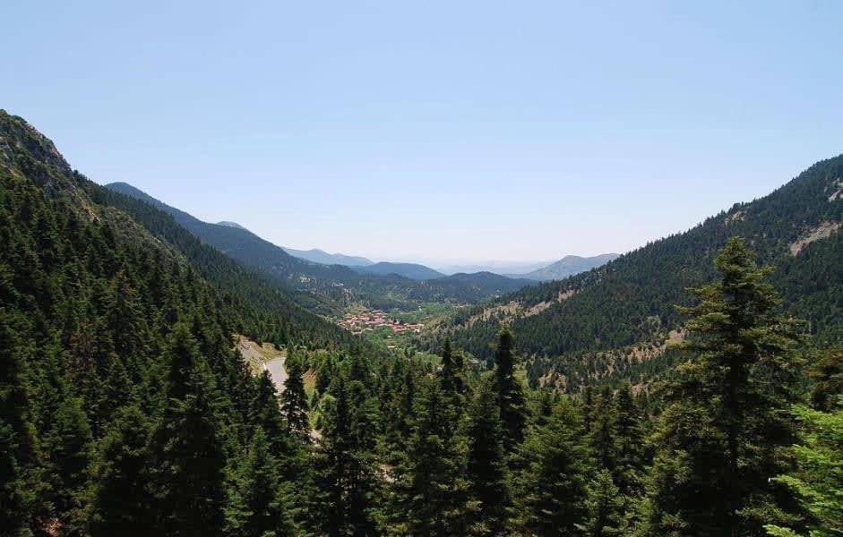 Apartament Stone - Cosy Mountain Escape Stemnitsa